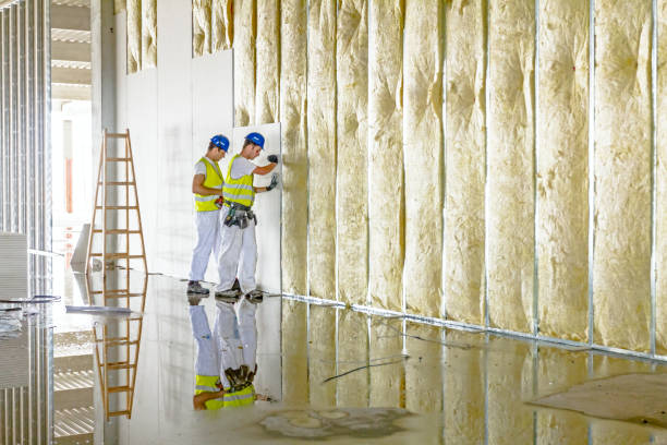Best Insulation Installation Services in Fort Polk North, LA